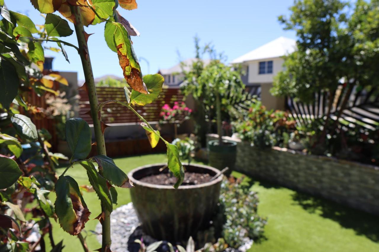 Comfortable Luxury Home Perth Exteriör bild